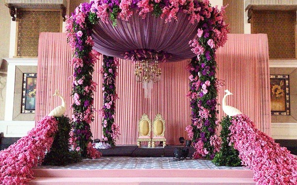 Violet Mandap